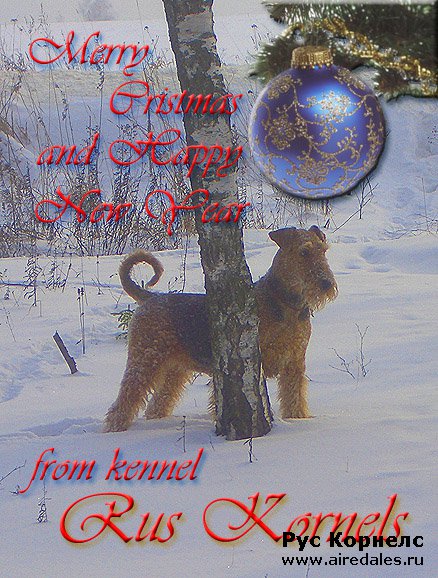 С Новым годом друзья! С Новым годом друзья!
