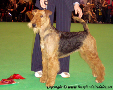 Ариша и английский Крафт 2008 Ариша и английский Крафт 2008